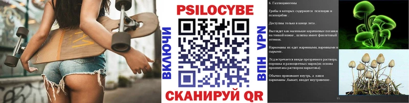 блэк спрут рабочий сайт  Павловская  Псилоцибиновые грибы Magic Shrooms 